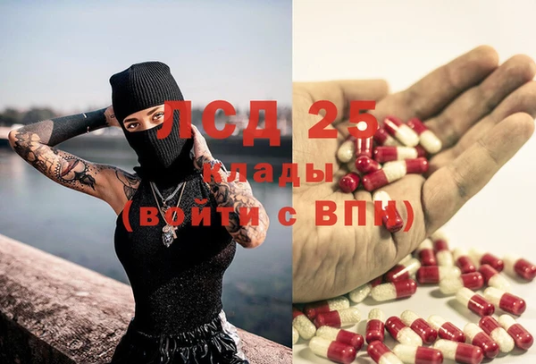 шишки Куйбышев